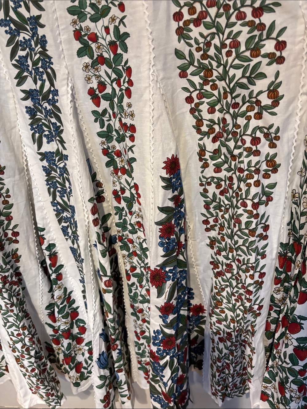 FARM Rio White Maxi Dress with Red and Blue Floral Embroidery - Picture 5 of 11